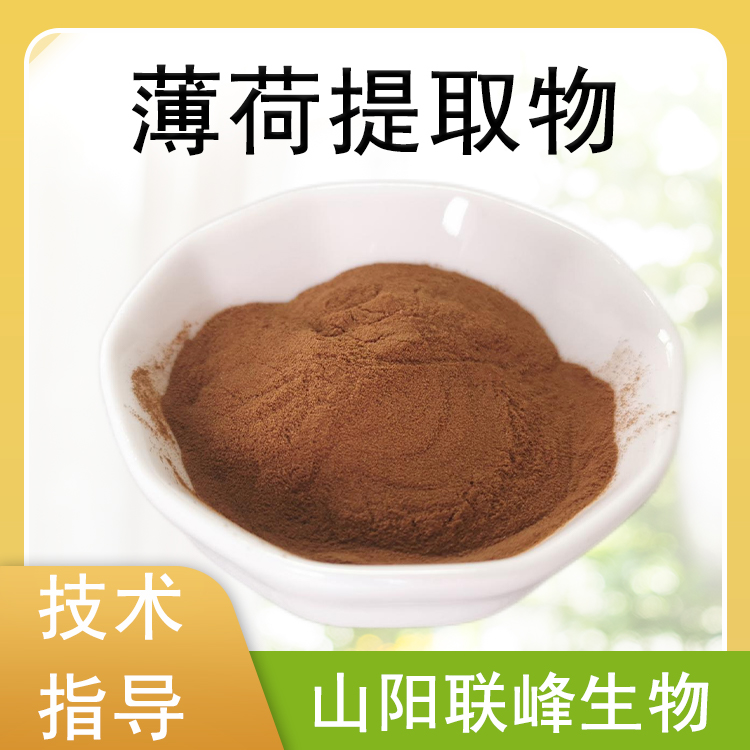 薄荷提取物 10：1水溶薄荷粉 食品级原料 植物萃取 1公斤/包