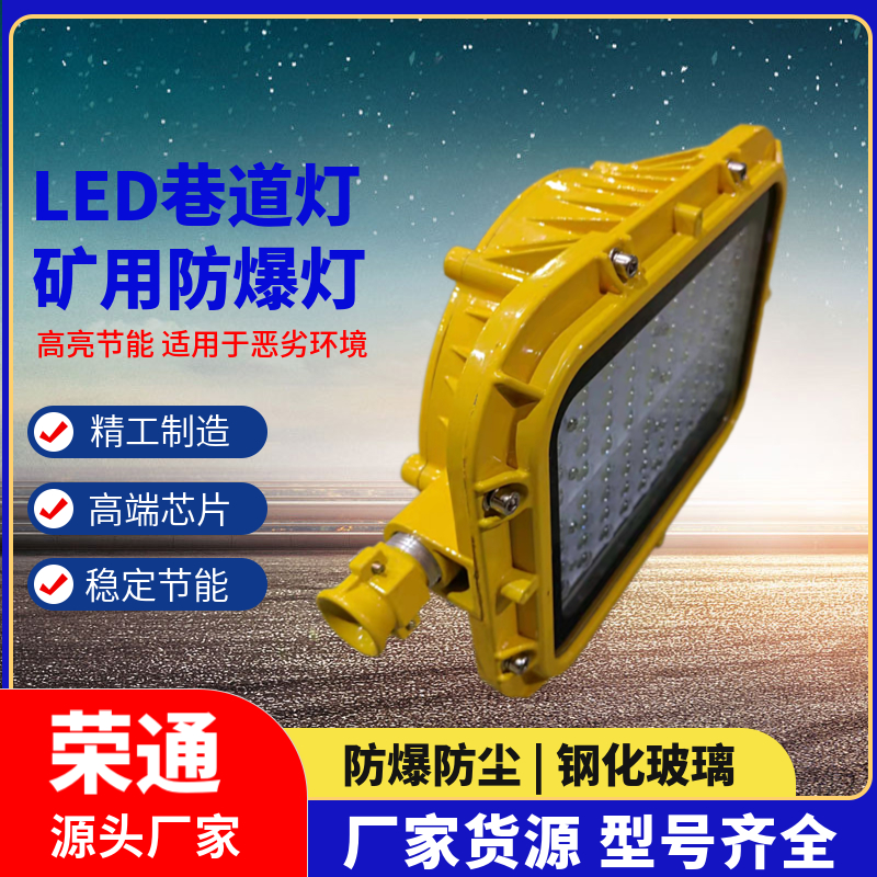 led集成防爆灯 LED应急灯 DGS18/127L 多种行业适用