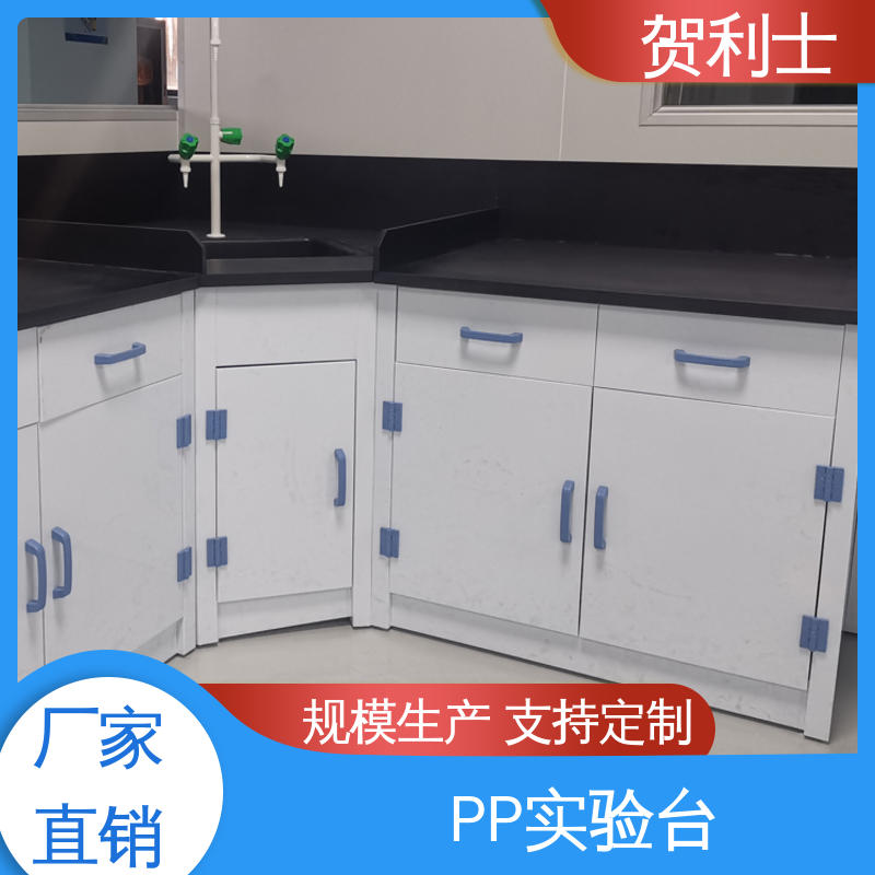 厂家直供 实验室工作台 化学PP实验台 食品药品生产研发 按需定制加工