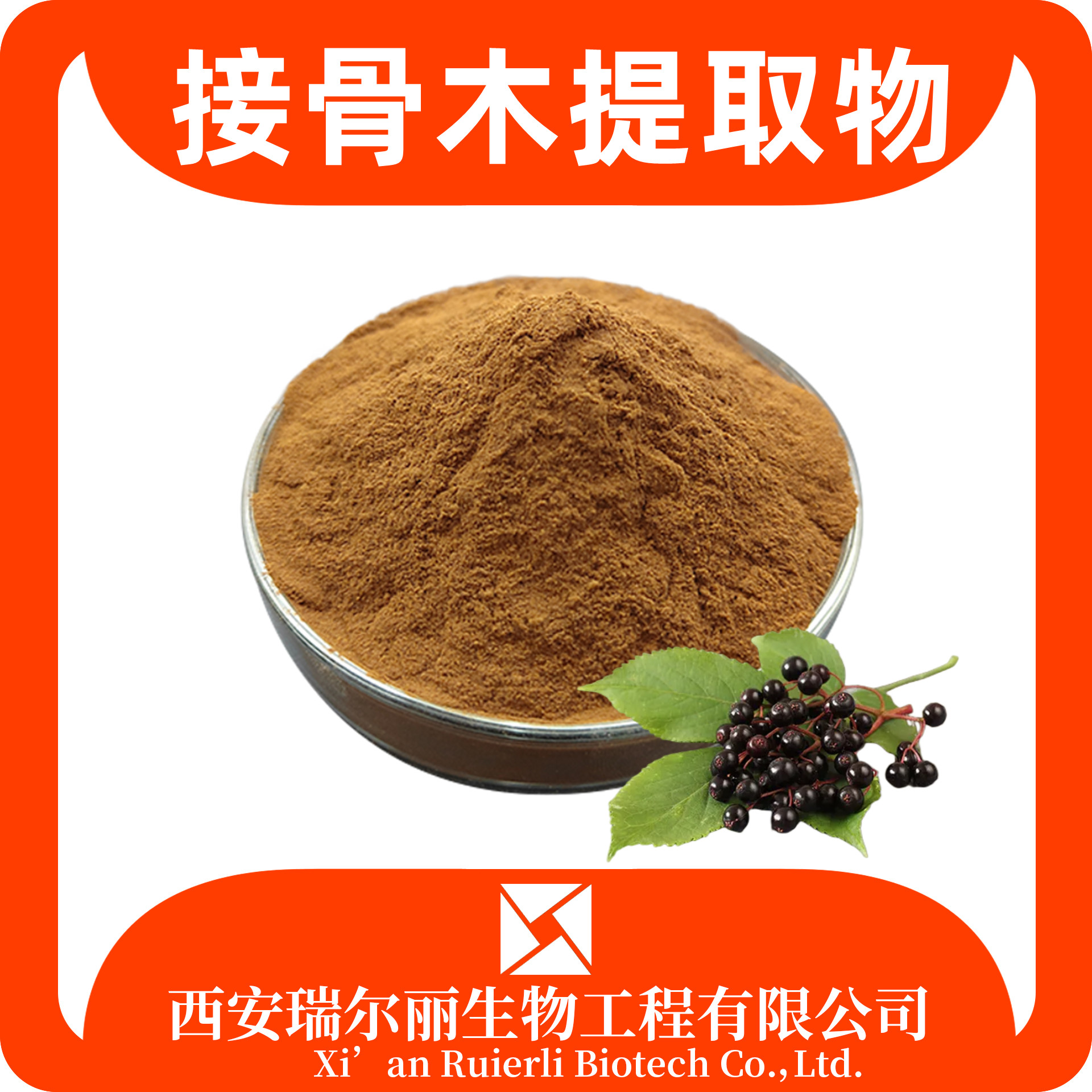 接骨木提取物 接骨木果粉 速溶接骨木粉 SC证 浸膏可定制 瑞尔丽生物