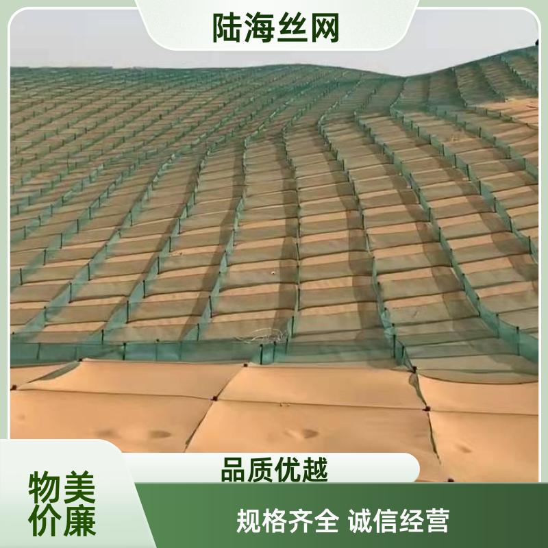 HDPE固沙网 433mm尖桩立柱 低立式防沙网专用固定桩 安装便捷 陆海