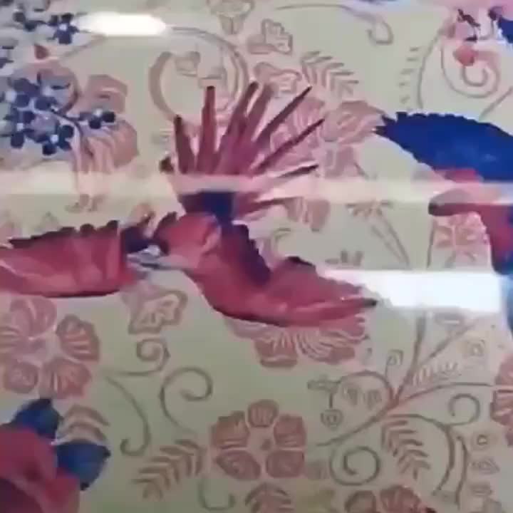 视频