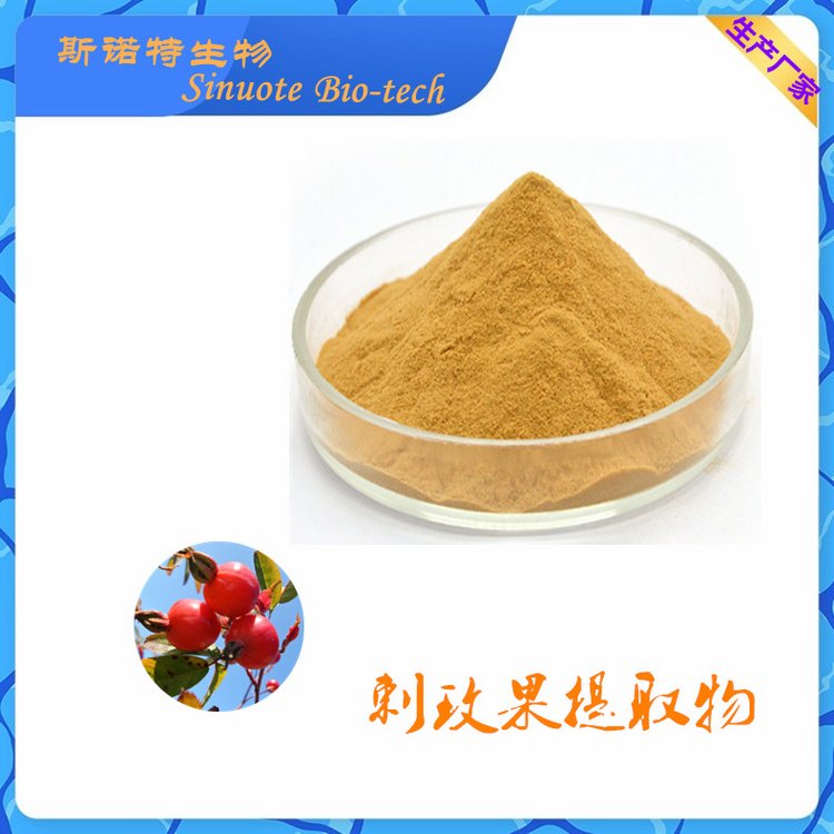 刺玫果提取物 果实萃取 皂甙25% 随货带报告 斯诺特