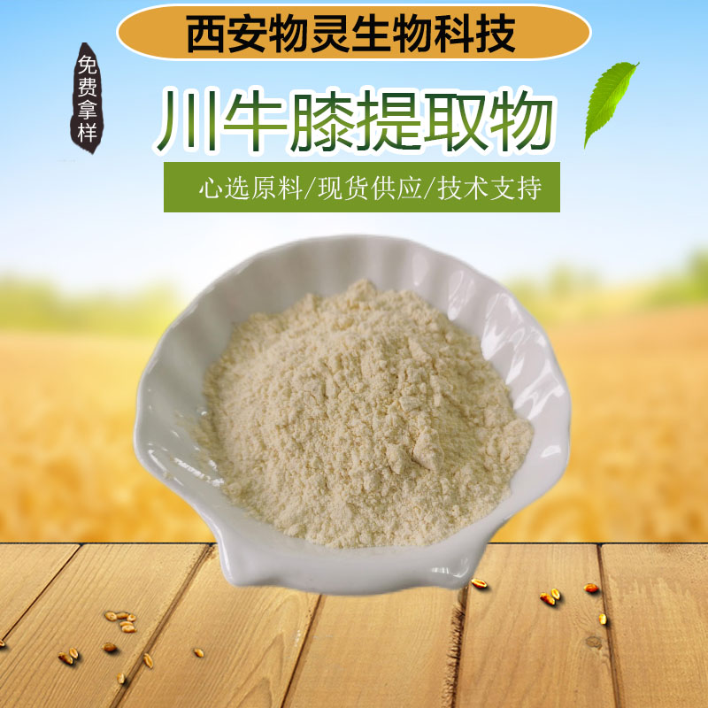 物灵生物 川贝母提取物 比例产品10:1 水溶性粉末 植物提取原料 多规格