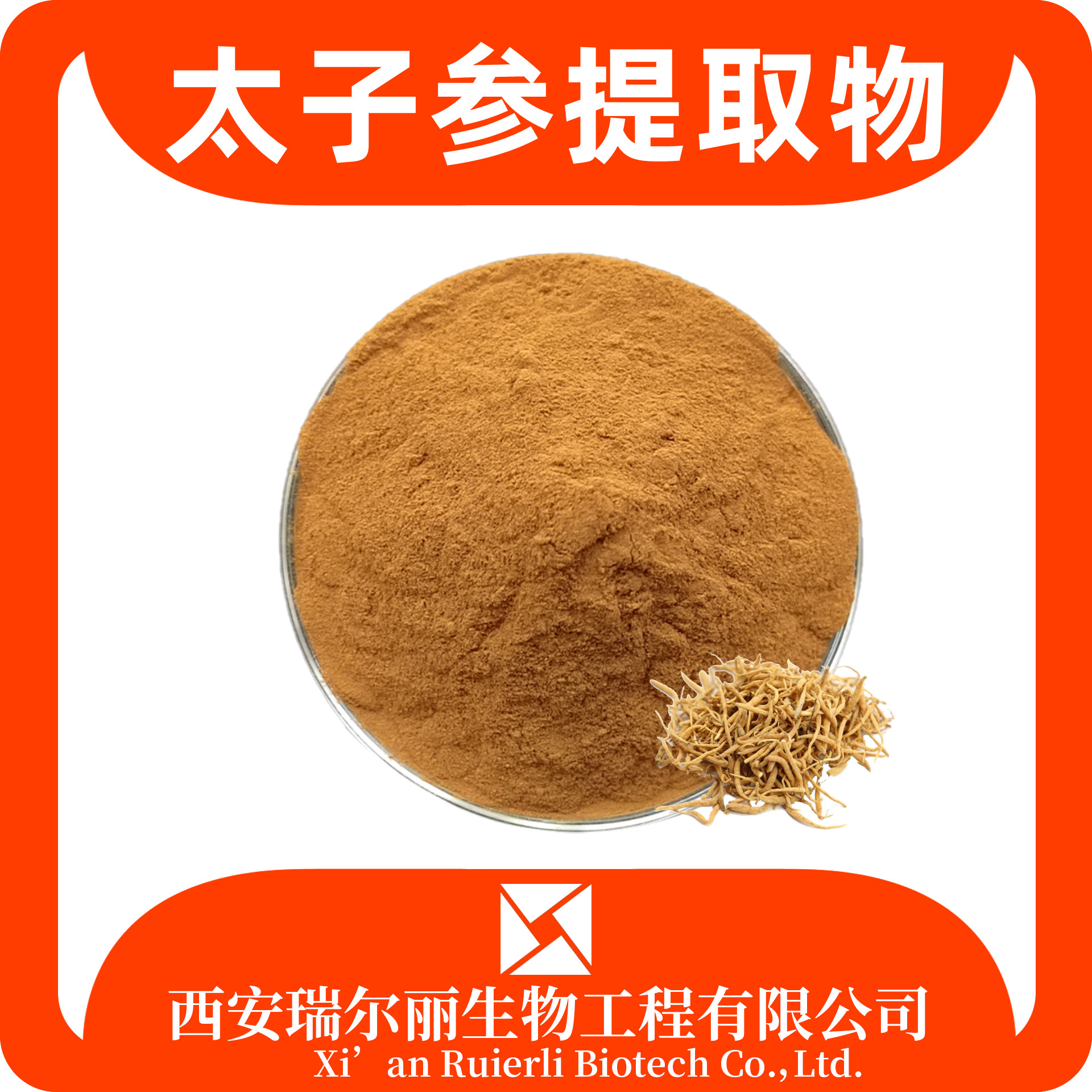 太子参提取物 水溶太子参粉 孩儿参粉 浓缩粉 SC证 浸膏 源头工厂
