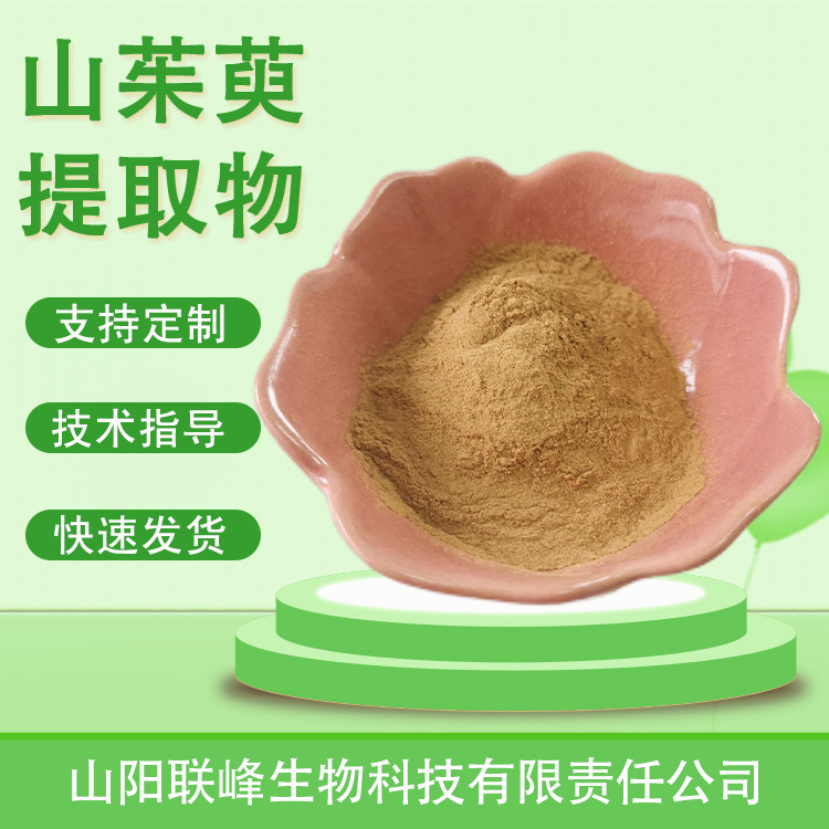 食品级山茱萸提取物 10：1山萸肉粉 水溶浓缩浸膏粉 原料 可定制