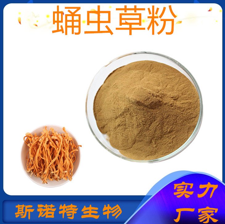 蛹虫草粉 北虫夏草浓缩粉 浸膏 提取液 规格供应 斯诺特生物