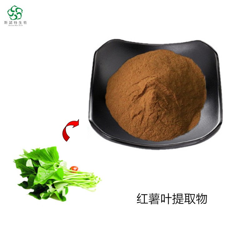 红薯叶提取物 10倍浓缩 水溶性 标准比例萃取 可试样