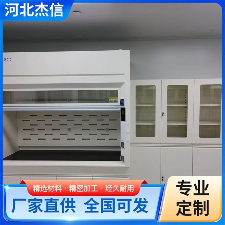 独立全木试剂柜 柜台陈列柜 化学危化品柜 服务专业 优质商家