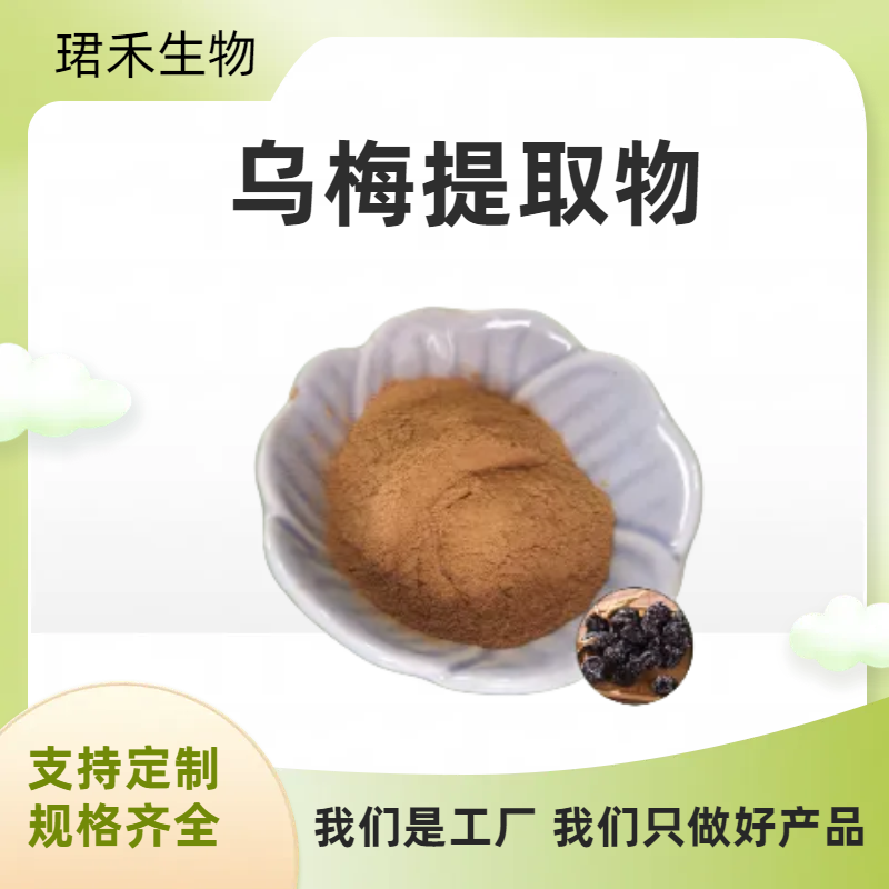 乌梅提取物 乌梅浓缩粉 棕黄粉末 2年保质 样品可试