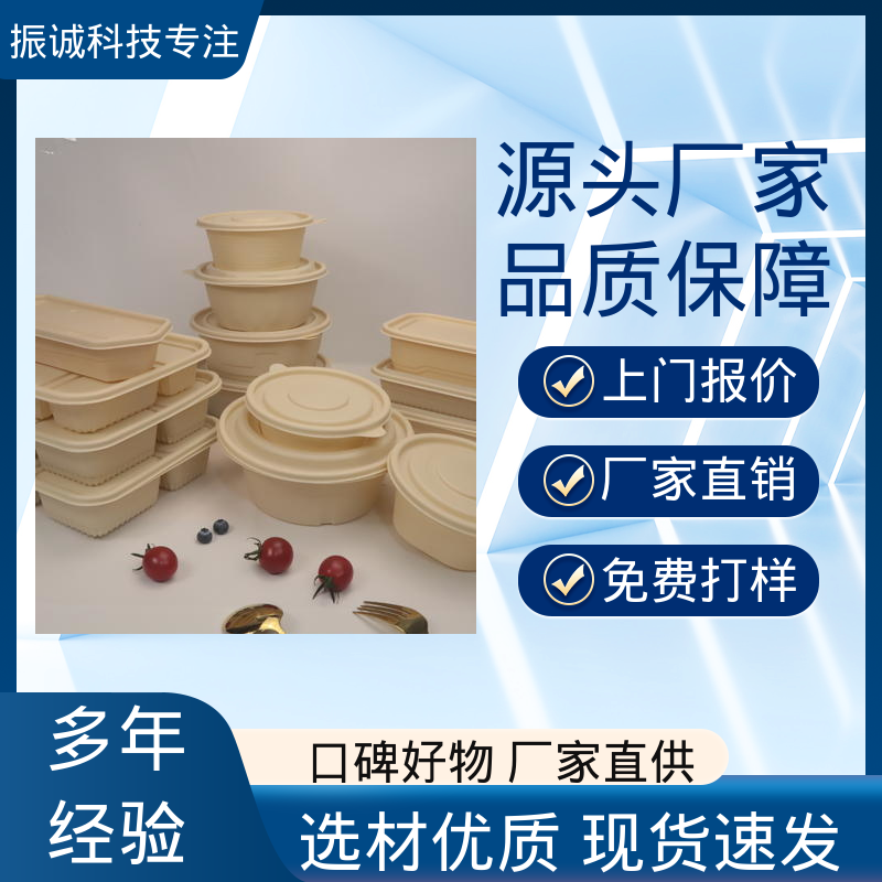 一次性打包盒 可冷冻 带盖 一荤两素套餐碗 振诚科技
