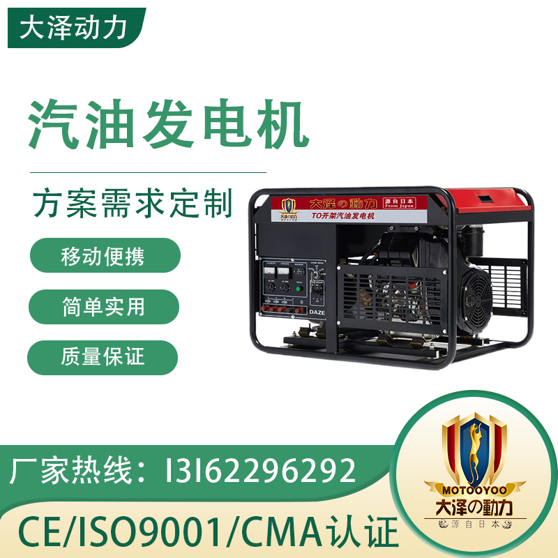 大泽动力15KW汽油发电机 双缸便携式 电启动 小型车载使用 TO16000ET