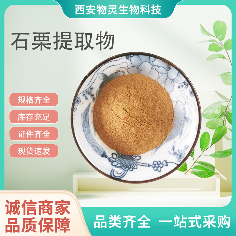 石栗提取物 水提浸膏浓缩粉 喷雾干燥烛树果粉 1公斤起订