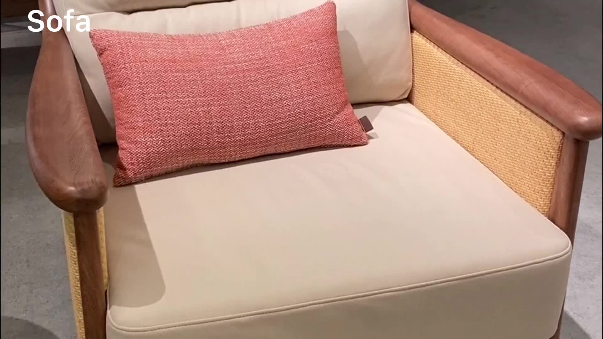 视频