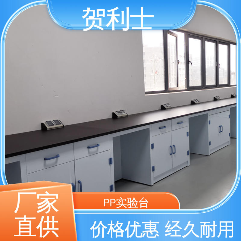 贺利士 实验室操作平台 PP化学实验台 科研机构用 支持按需定制