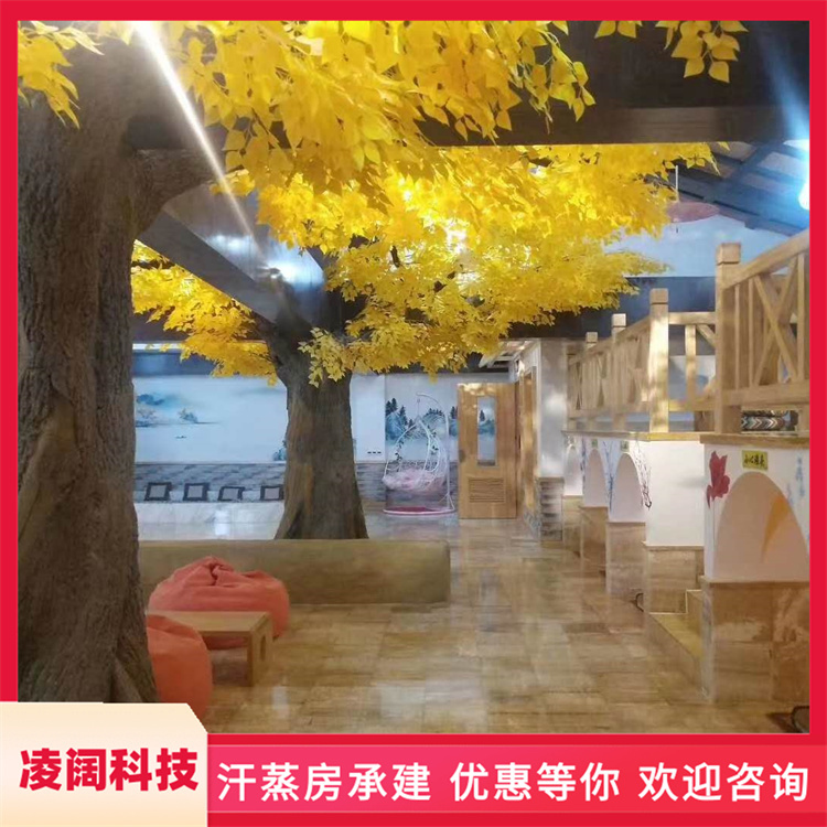 凌阔科技 新型 中药盐蒸房 多种风格规格定制 上门服务