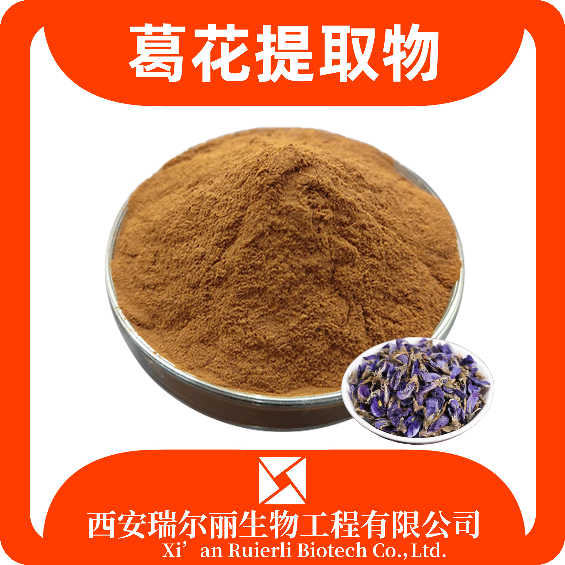 葛花提取物 10:1 水溶葛花粉 可定制比例 浸膏粉 瑞尔丽生物 源头厂家