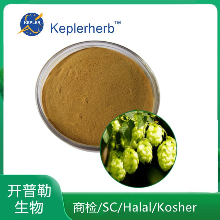 啤酒花提取物 啤酒花速溶粉 啤酒花浸膏 KPL-0048
