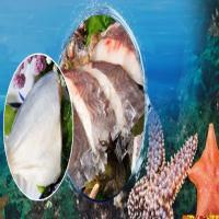 海芝宝水产