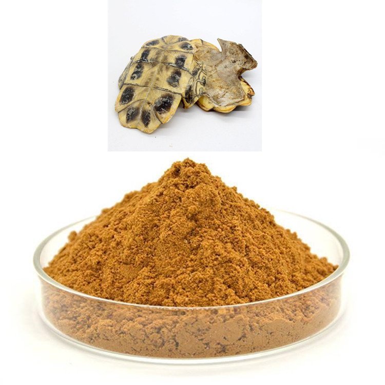 龟甲提取物 水溶斯诺特多规格比例浓缩 微生物细菌检测