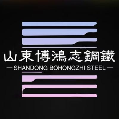 山东博鸿志钢铁有限公司