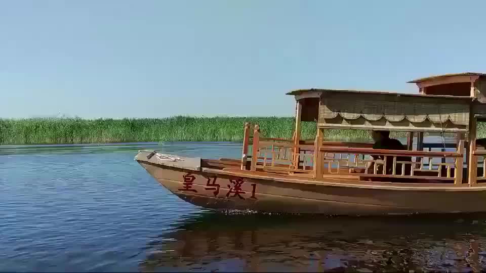 视频
