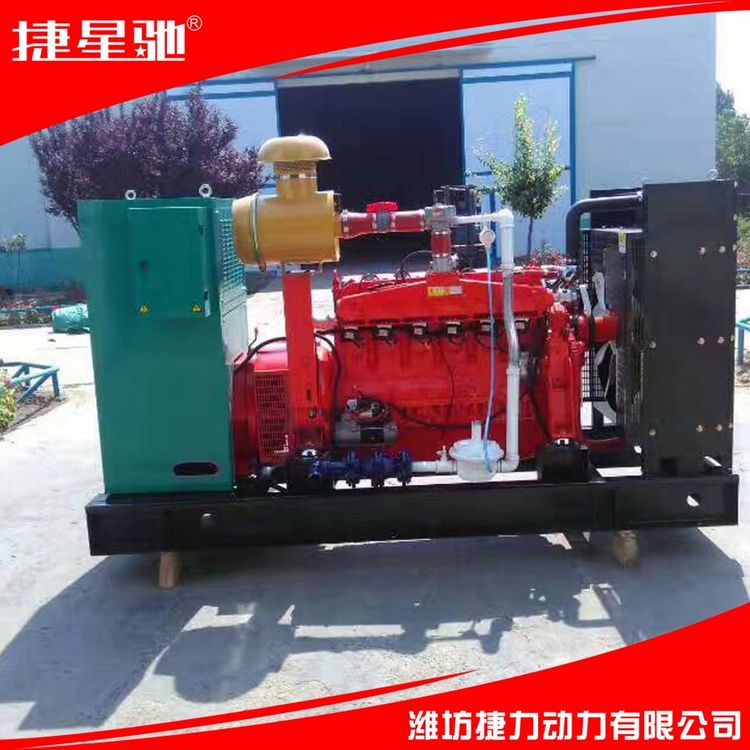 200KW 柴油 天然气 沼气 液化气 CNG LNG LPG 发电机组 静音