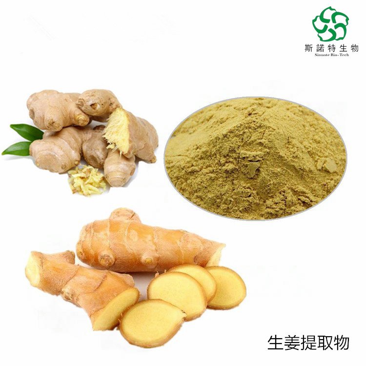 斯诺特 生姜提取物 有效成分 姜辣素 含量5% 精细粉末 库存充足