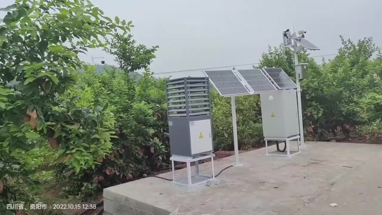 视频