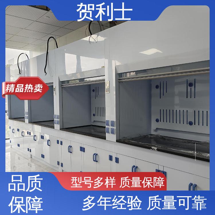 贺利士 坚实耐用 匠心打造 硬度强 pp落地式通风柜 防尘防静电