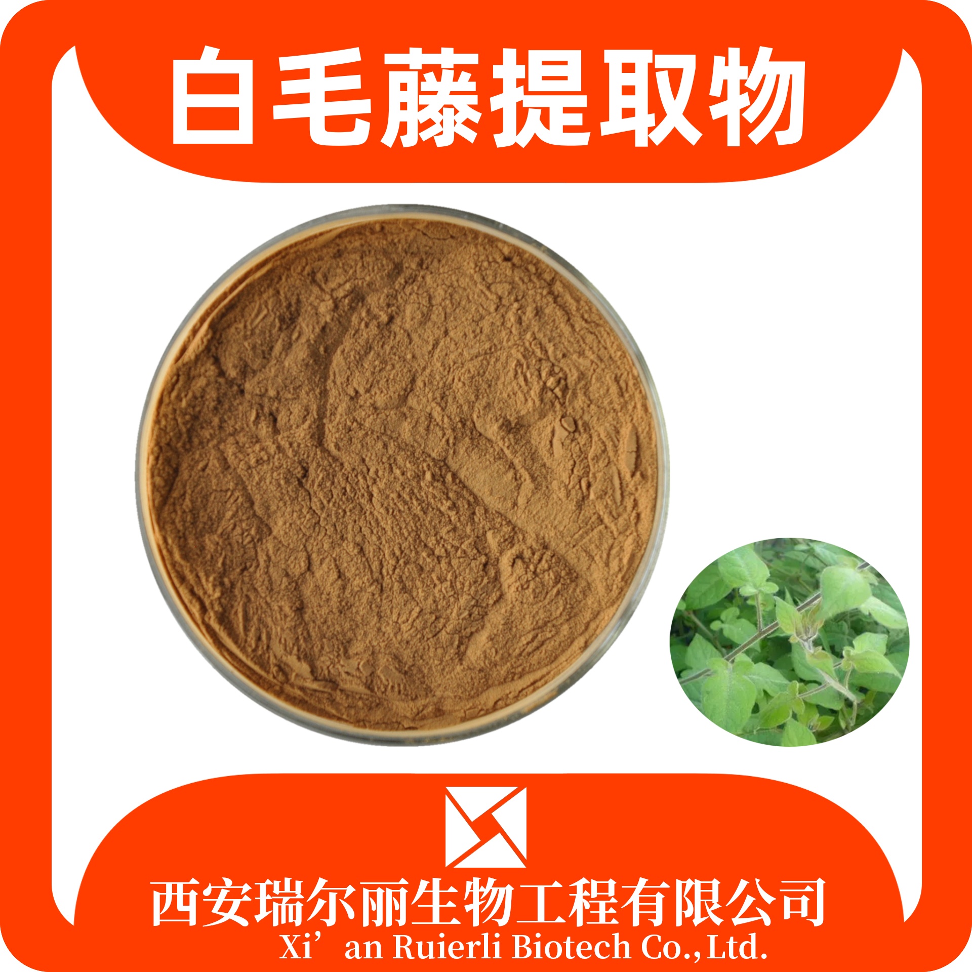 白毛藤提取物 10:1 水溶白毛藤粉 速溶浓缩粉 源头厂家 瑞尔丽生物