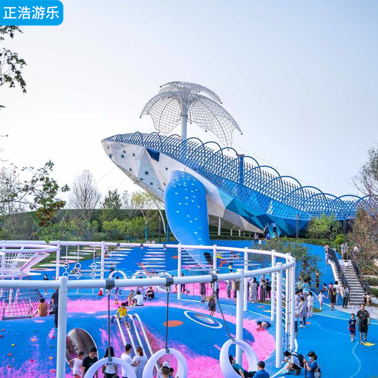 厂家供应 创意鲸鱼造型组合滑梯 户外游乐场非标游乐设施 无动力设备
