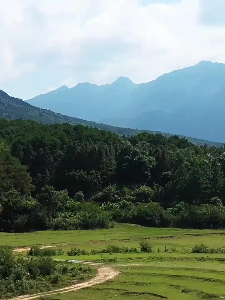 视频