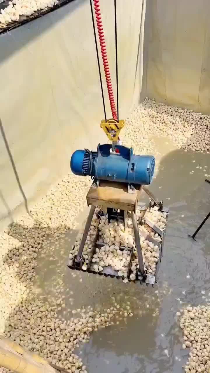 视频