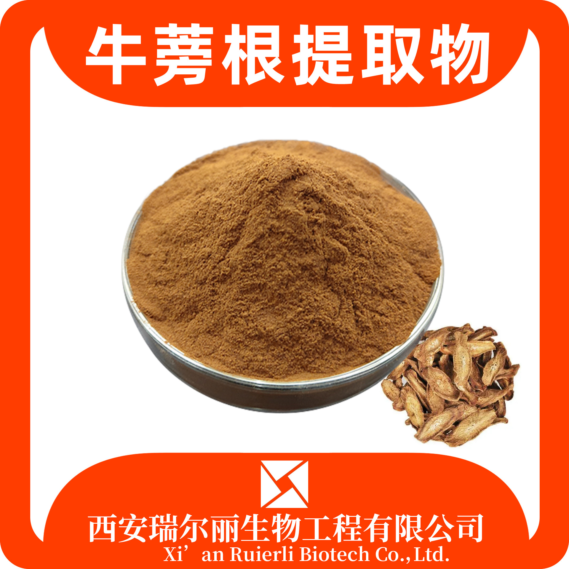 牛蒡根提取物10：1鼠粘根粉 速溶牛菜浓缩浸膏 瑞尔丽生物 现货速发