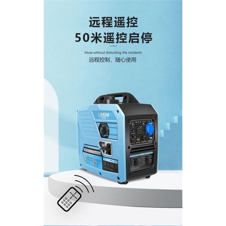 萨登RGM3200IE单相数码发电机3KW 便捷式户外应急电源