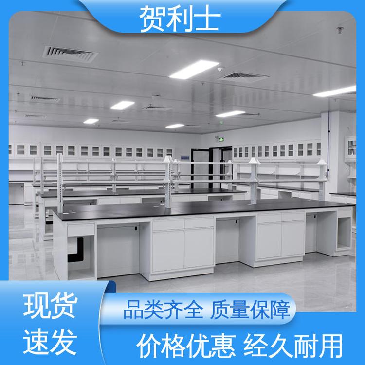性能优越 耐酸碱 坚实耐用 匠心打造 全钢实验室 贺利士