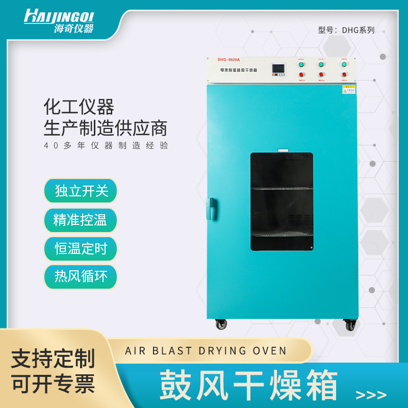 实验室干燥箱 高温工业烤箱 恒温鼓风烘干机 小型药材烤大灯