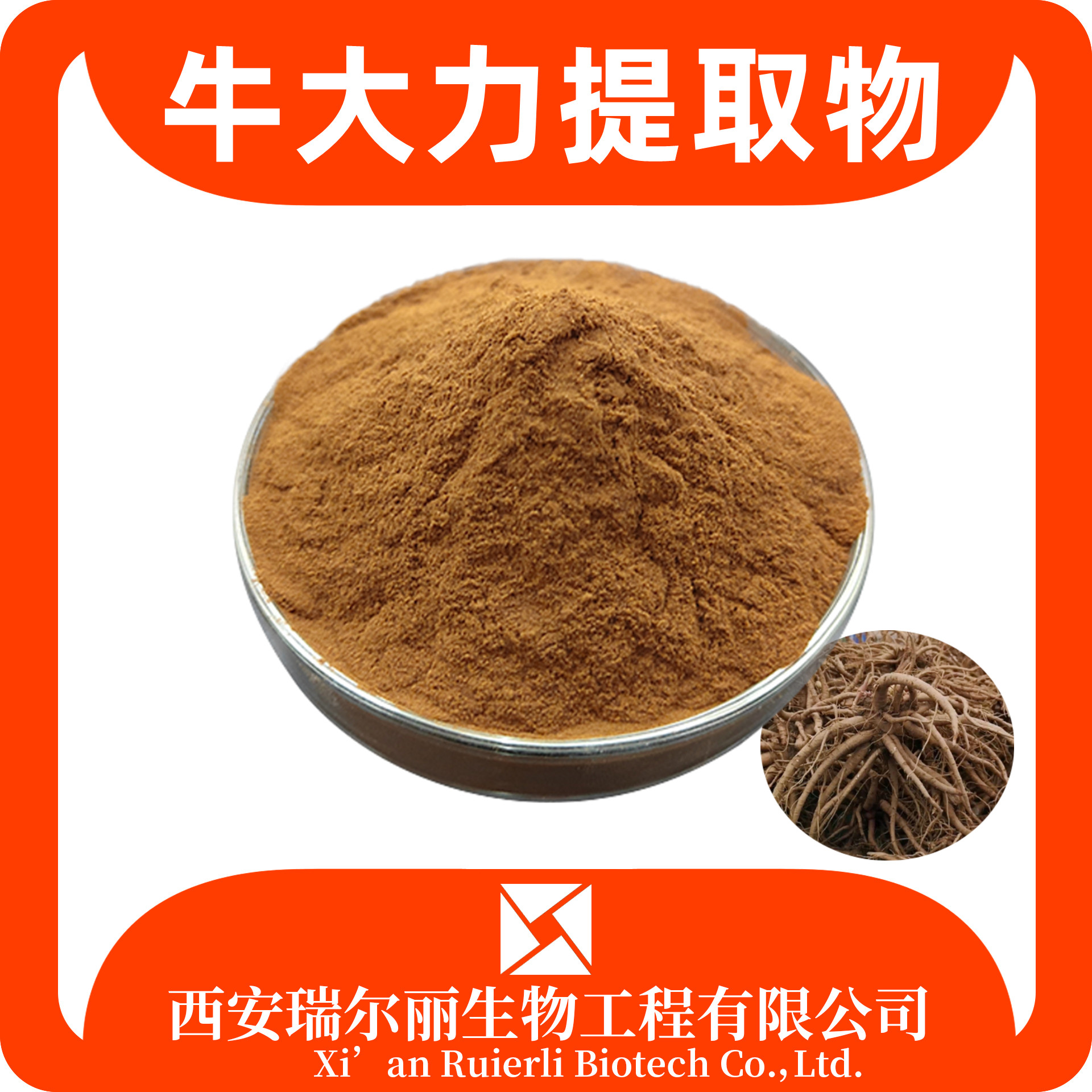 牛大力提取物10：1 猪脚笠/金钟根提取物 瑞尔丽生物 源头厂家