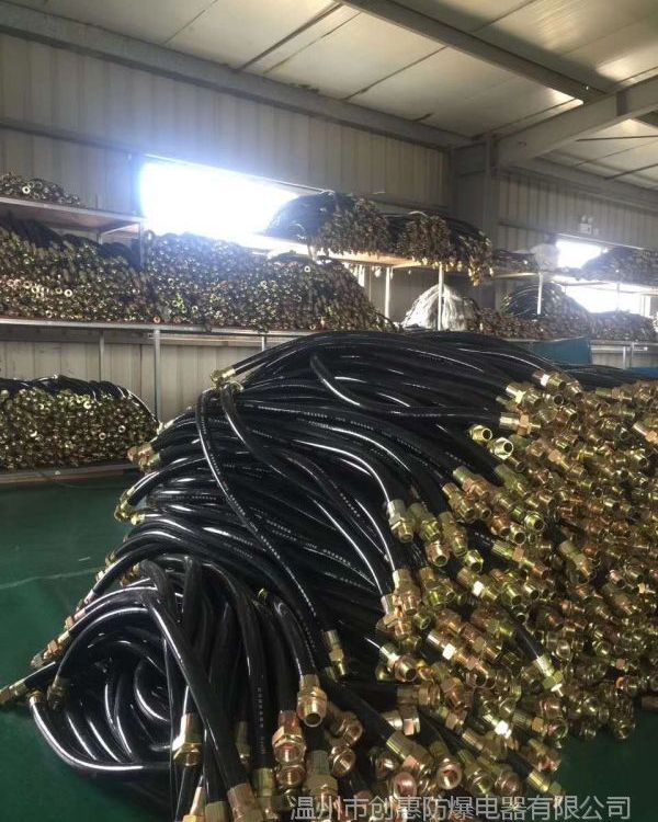 温州防爆扰性软管6分DN20防爆扰性连接管防爆穿线管4分DN15防爆挠性管