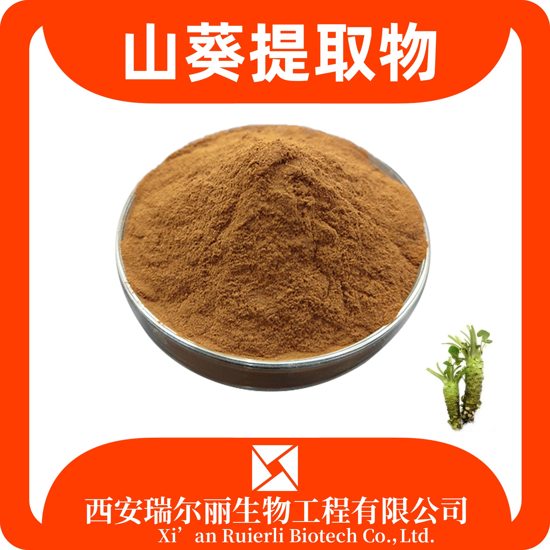 山葵提取物 山葵粉 速溶辣根粉 sc证可定制 含税运 瑞尔丽生物 源头厂家