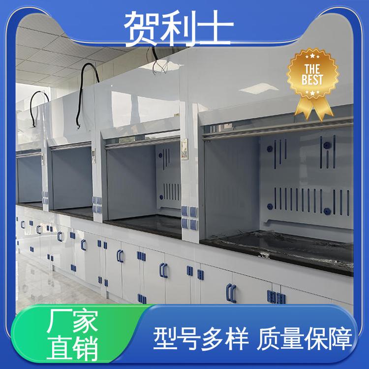 贺利士 PP落地型通风柜 抗冲击 规模生产 支持定制 结构牢固可靠