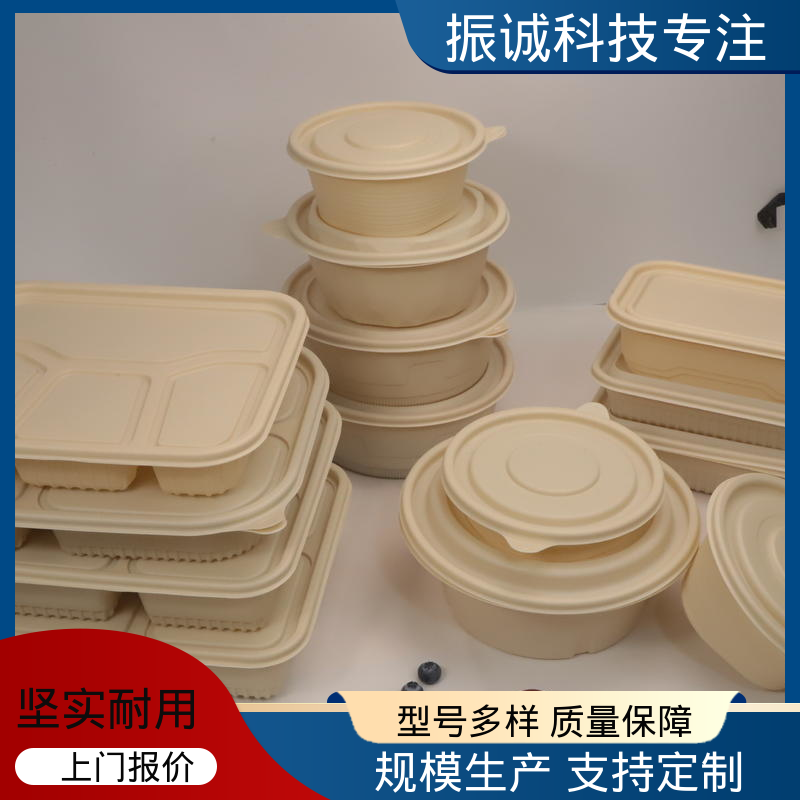 振诚科技 符合限塑标准餐盒 一次性方碗 儿童带餐便携环保