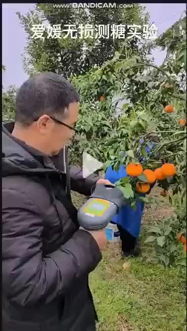 视频