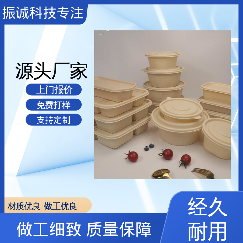 振诚科技 可冷冻 符合限塑标准餐盒 免洗碗 带盖