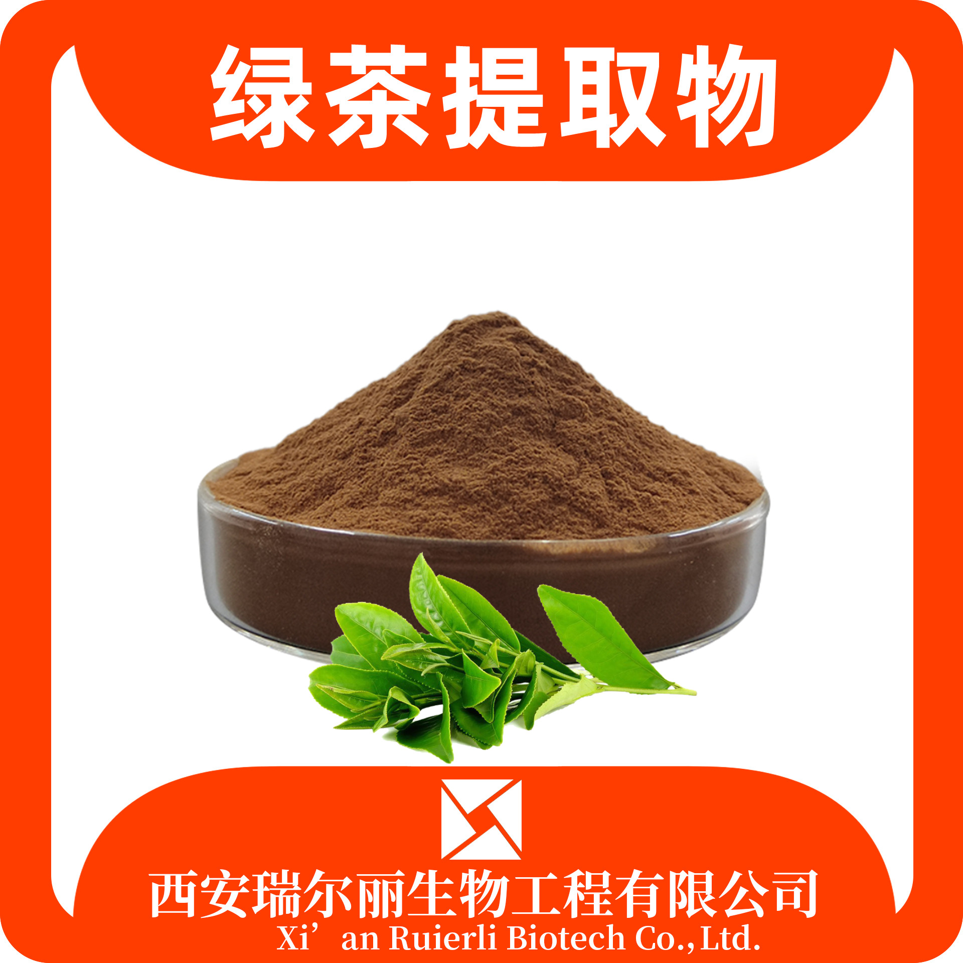 绿茶提取物10：1 绿茶浓缩粉 茶多酚 食品生鲜 瑞尔丽生物