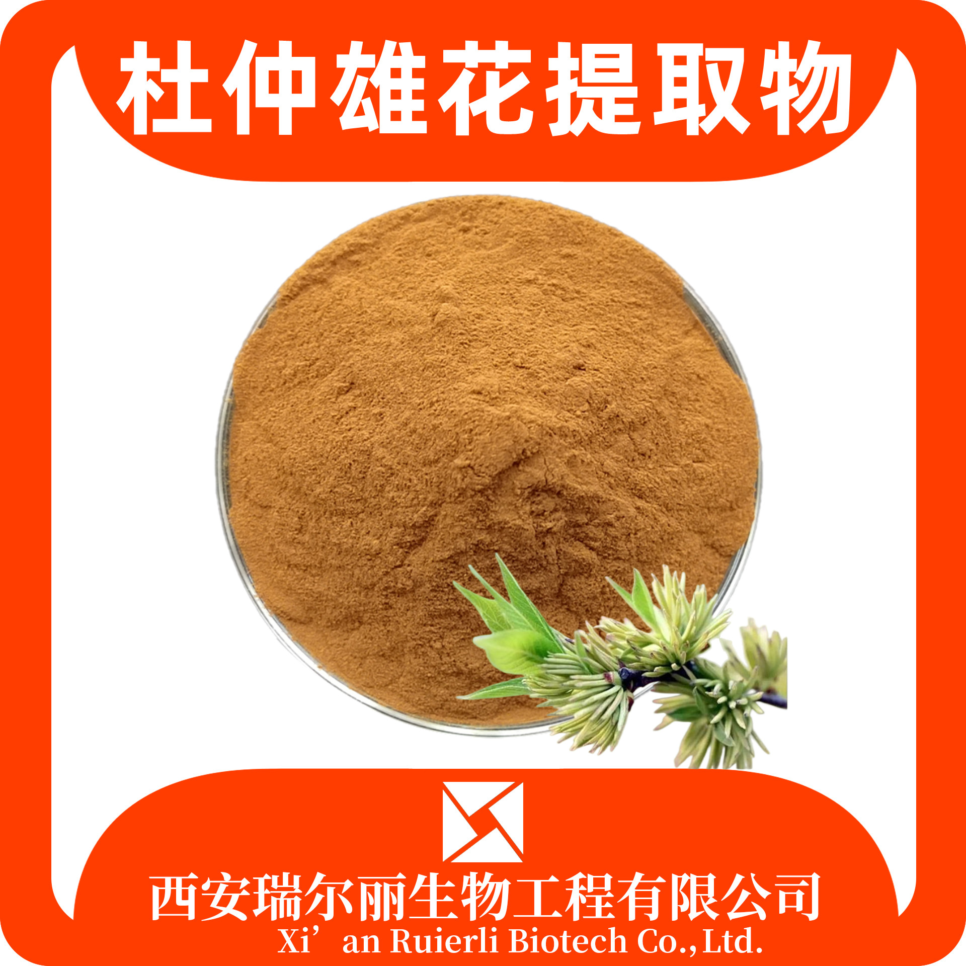 瑞尔丽生物 杜仲雄花提取物 杜仲雄花粉 SC证 食品级 含税运 源头厂家