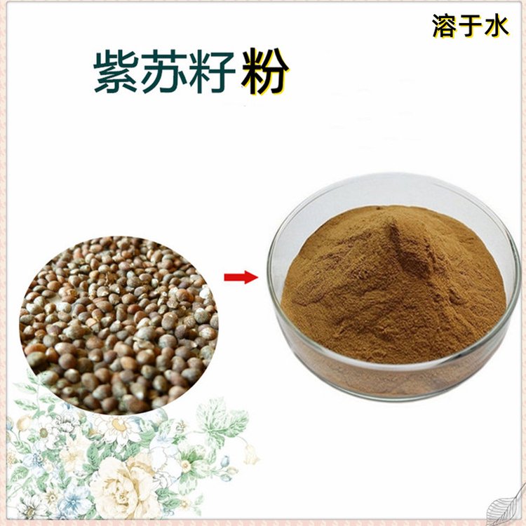 紫苏籽粉 斯诺特 SC厂供应 紫苏提取物 食品级原料
