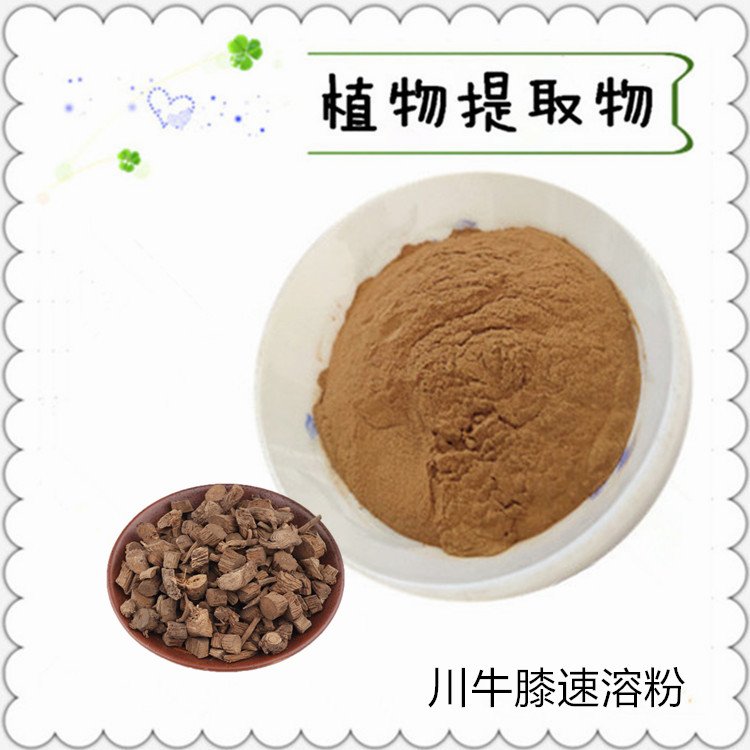 牛膝速溶粉 精细粉末 浸膏 浓缩液 多规格供应 斯诺特生物
