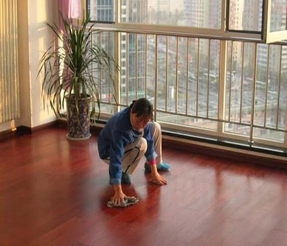 天敌消杀服务